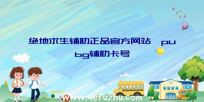 绝地求生辅助正品官方网站、pubg辅助卡号