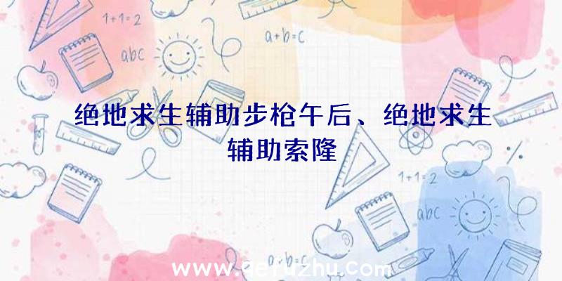 绝地求生辅助步枪午后、绝地求生辅助索隆