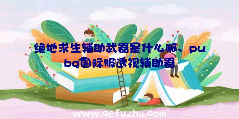 绝地求生辅助武器是什么啊、pubg国际服透视辅助器