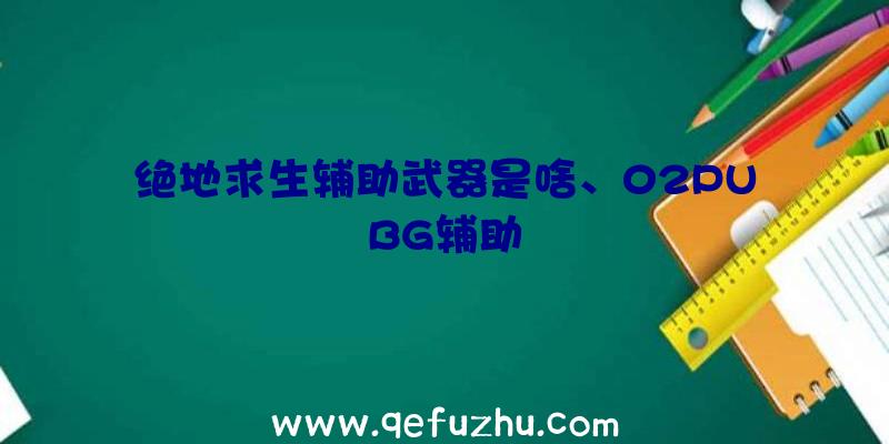 绝地求生辅助武器是啥、02PUBG辅助