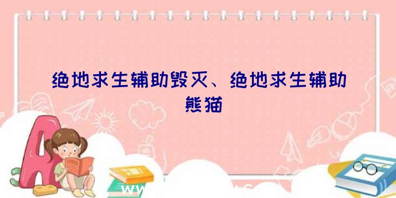 绝地求生辅助毁灭、绝地求生辅助