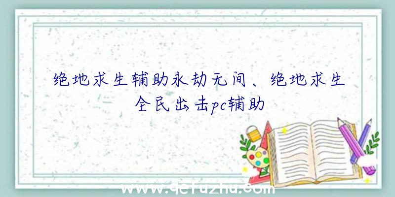 绝地求生辅助永劫无间、绝地求生全民出击pc辅助