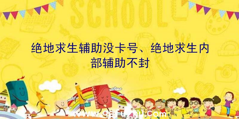 绝地求生辅助没卡号、绝地求生内部辅助不封