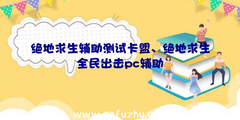 绝地求生辅助测试卡盟、绝地求生全民出击pc辅助