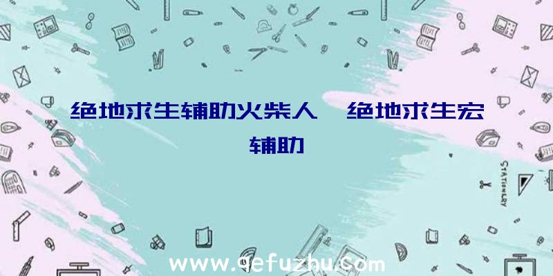 绝地求生辅助火柴人、绝地求生宏辅助