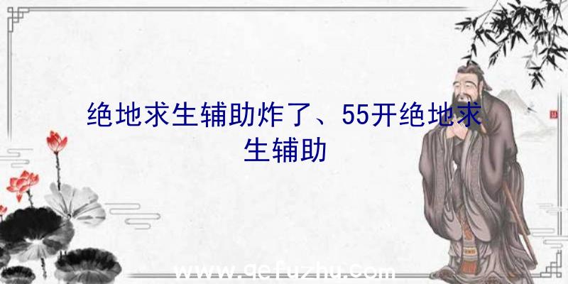 绝地求生辅助炸了、55开绝地求生辅助