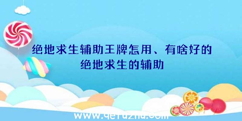 绝地求生辅助王牌怎用、有啥好的绝地求生的辅助