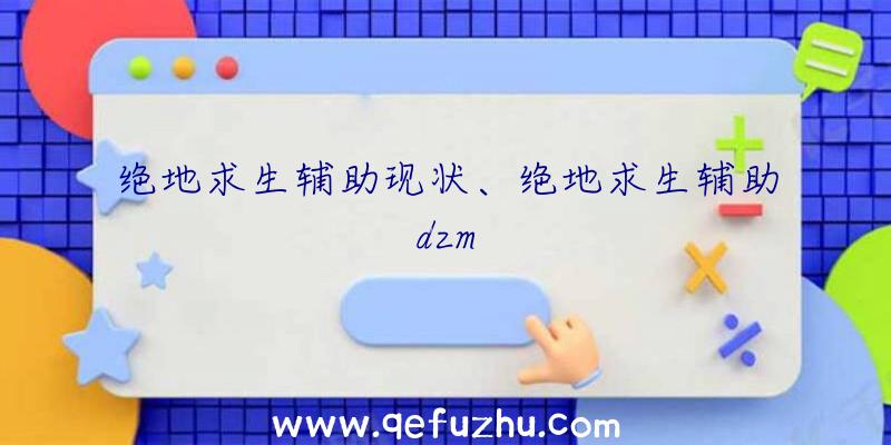 绝地求生辅助现状、绝地求生辅助dzm