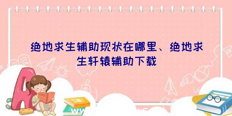 绝地求生辅助现状在哪里、绝地求生轩辕辅助下载