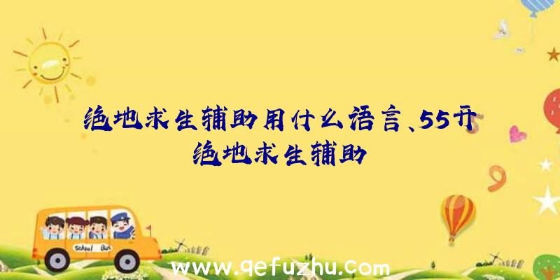 绝地求生辅助用什么语言、55开绝地求生辅助