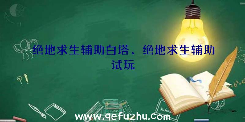 绝地求生辅助白塔、绝地求生辅助试玩