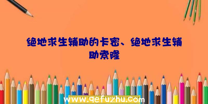 绝地求生辅助的卡密、绝地求生辅助索隆