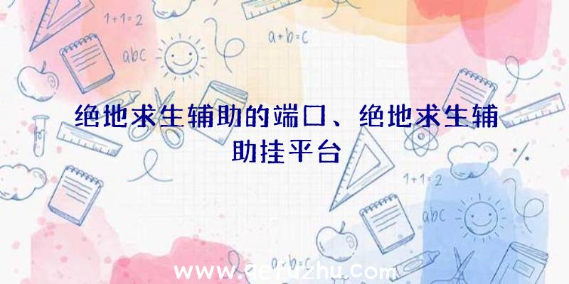 绝地求生辅助的端口、绝地求生辅助挂平台