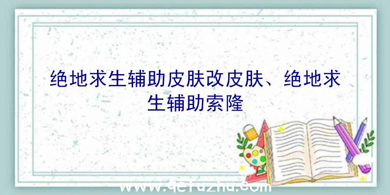 绝地求生辅助皮肤改皮肤、绝地求生辅助索隆