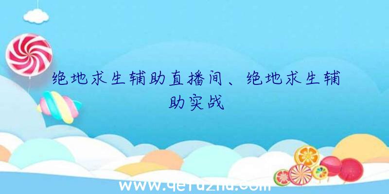 绝地求生辅助直播间、绝地求生辅助实战