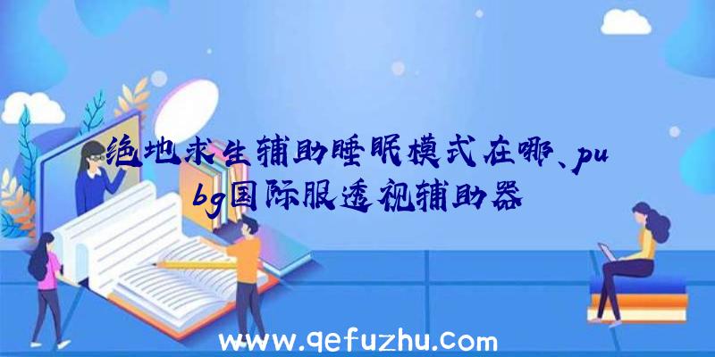 绝地求生辅助睡眠模式在哪、pubg国际服透视辅助器