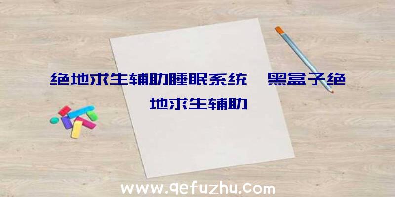 绝地求生辅助睡眠系统、黑盒子绝地求生辅助