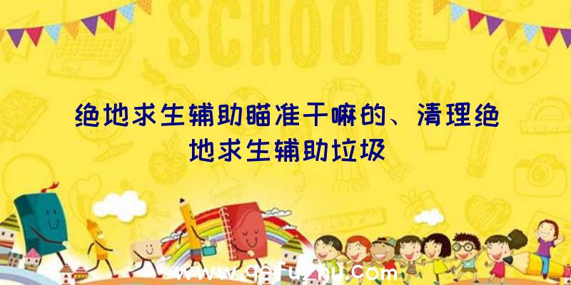 绝地求生辅助瞄准干嘛的、清理绝地求生辅助垃圾