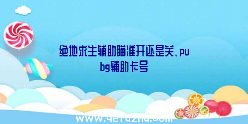 绝地求生辅助瞄准开还是关、pubg辅助卡号