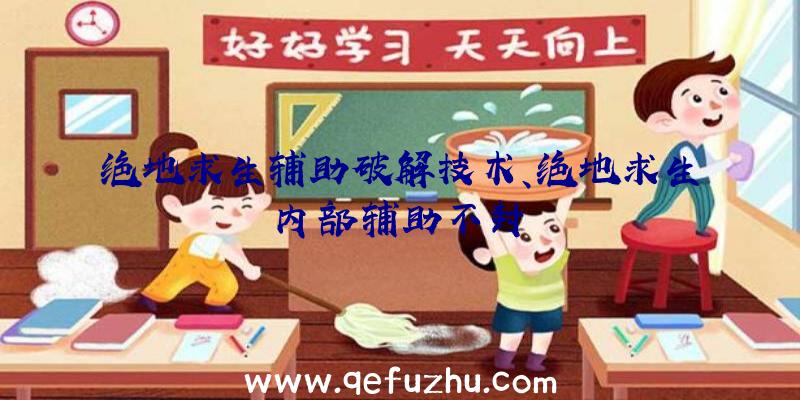 绝地求生辅助破解技术、绝地求生内部辅助不封