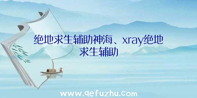 绝地求生辅助神海、xray绝地求生辅助