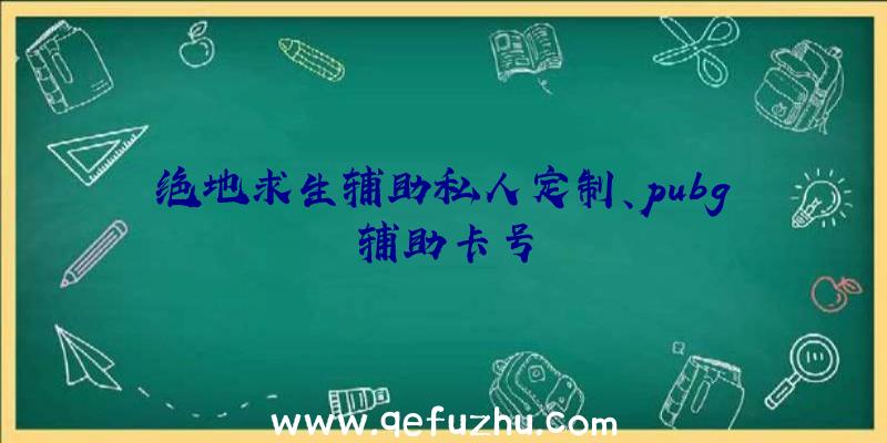 绝地求生辅助私人定制、pubg辅助卡号