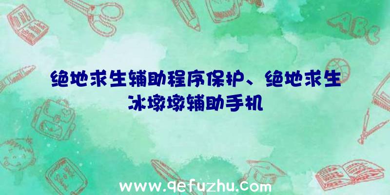 绝地求生辅助程序保护、绝地求生冰墩墩辅助手机