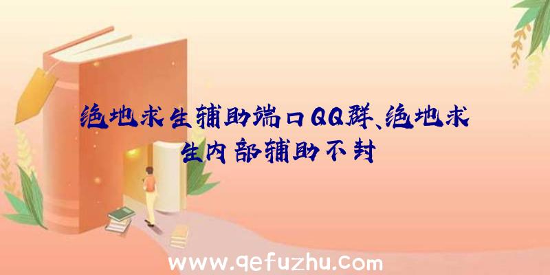 绝地求生辅助端口QQ群、绝地求生内部辅助不封