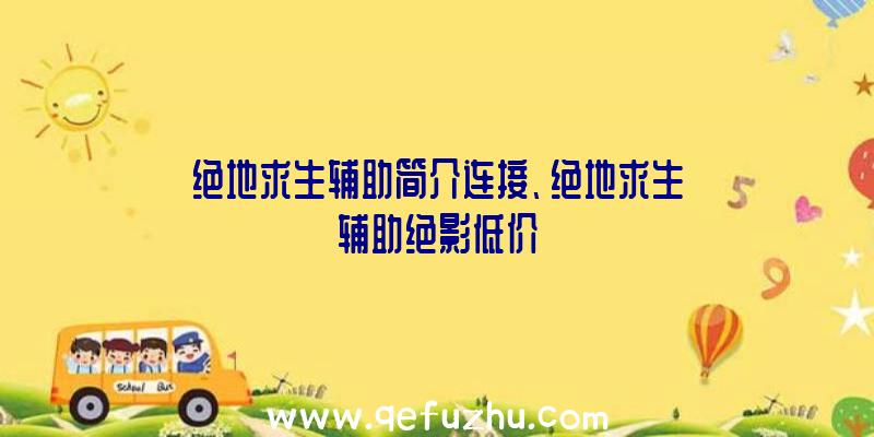 绝地求生辅助简介连接、绝地求生辅助绝影低价