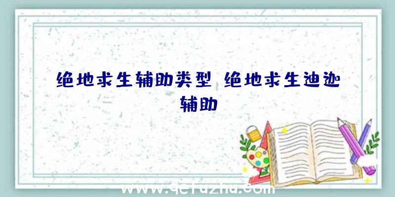 绝地求生辅助类型、绝地求生迪迦辅助