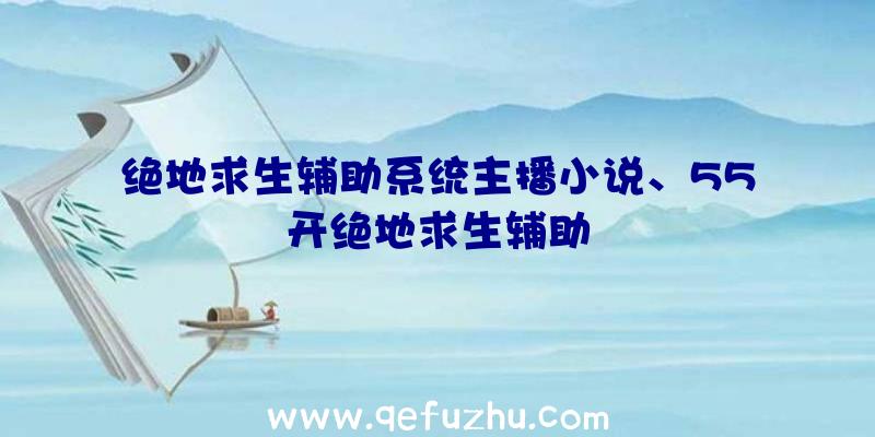 绝地求生辅助系统主播小说、55开绝地求生辅助