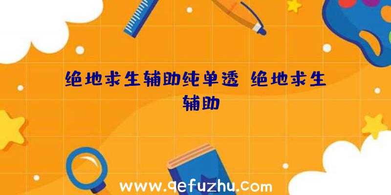 绝地求生辅助纯单透、绝地求生wk辅助