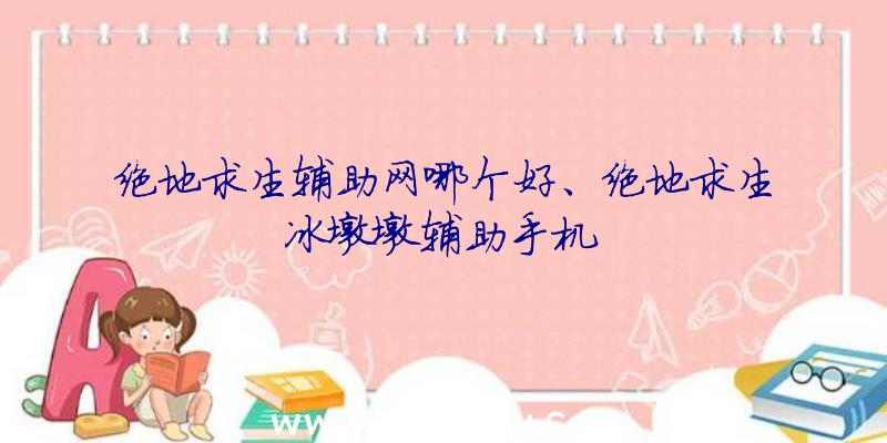 绝地求生辅助网哪个好、绝地求生冰墩墩辅助手机