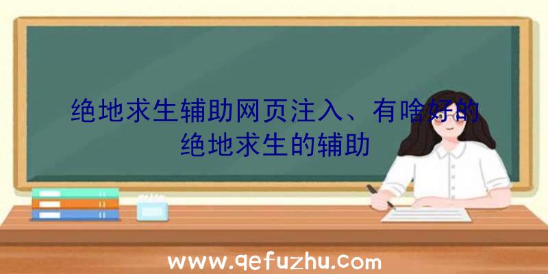 绝地求生辅助网页注入、有啥好的绝地求生的辅助