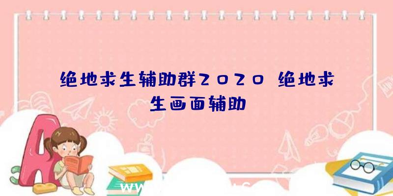 绝地求生辅助群2020、绝地求生画面辅助