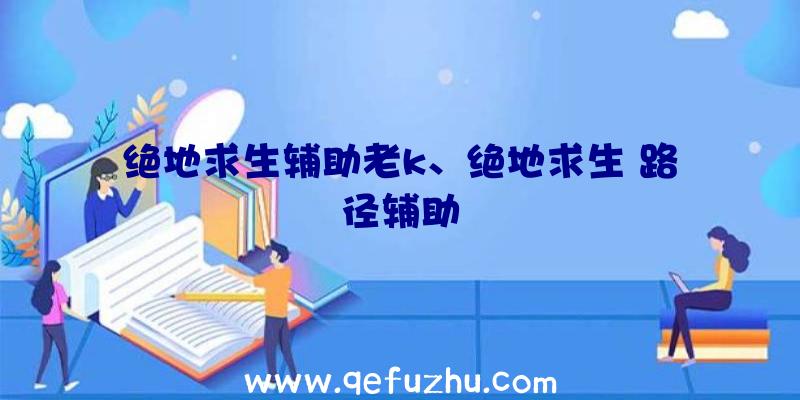 绝地求生辅助老k、绝地求生