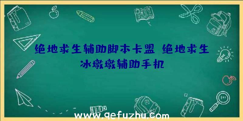 绝地求生辅助脚本卡盟、绝地求生冰墩墩辅助手机