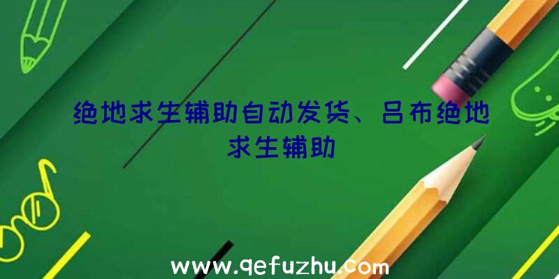 绝地求生辅助自动发货、吕布绝地求生辅助