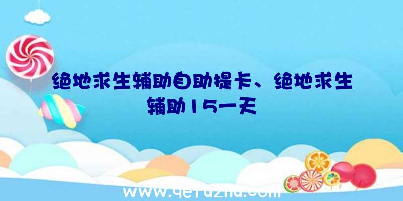 绝地求生辅助自助提卡、绝地求生辅助15一天