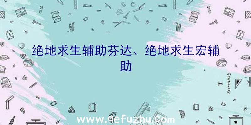 绝地求生辅助芬达、绝地求生宏辅助