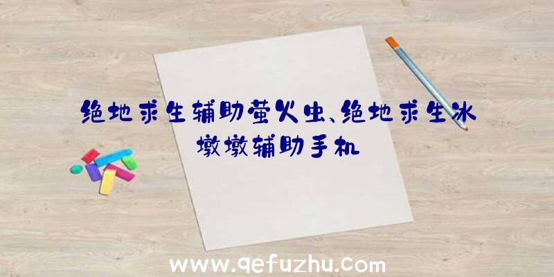 绝地求生辅助萤火虫、绝地求生冰墩墩辅助手机