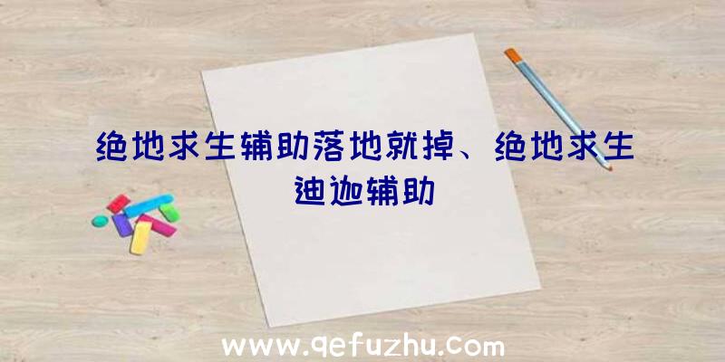 绝地求生辅助落地就掉、绝地求生迪迦辅助