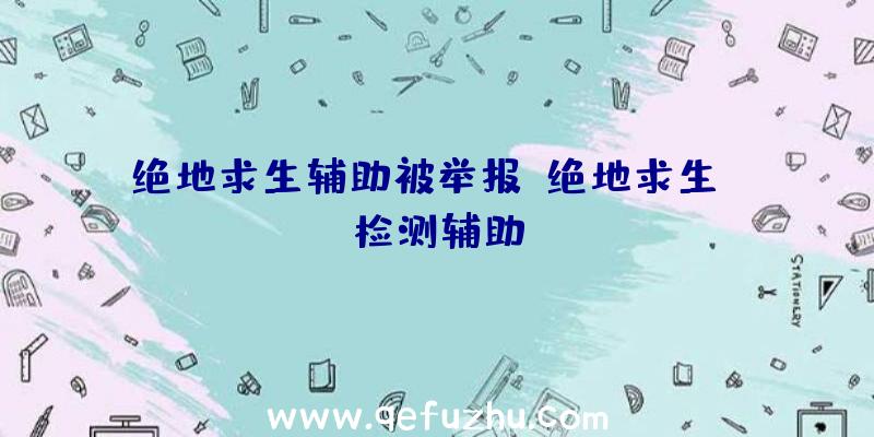 绝地求生辅助被举报、绝地求生