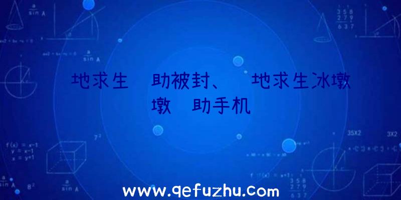 绝地求生辅助被封、绝地求生冰墩墩辅助手机