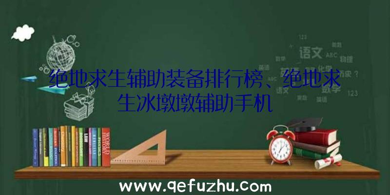 绝地求生辅助装备排行榜、绝地求生冰墩墩辅助手机