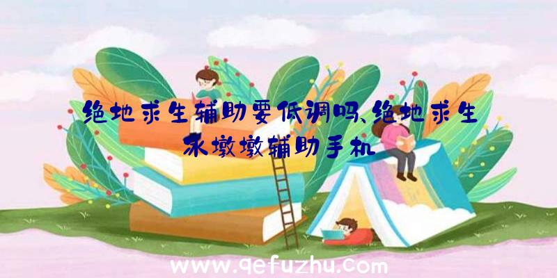 绝地求生辅助要低调吗、绝地求生冰墩墩辅助手机