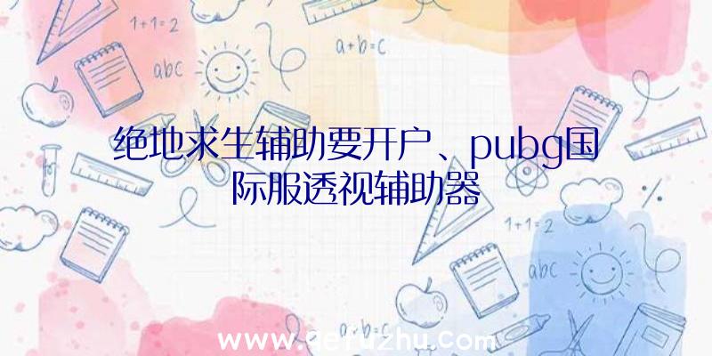 绝地求生辅助要开户、pubg国际服透视辅助器