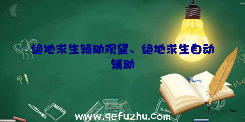 绝地求生辅助观望、绝地求生自动辅助