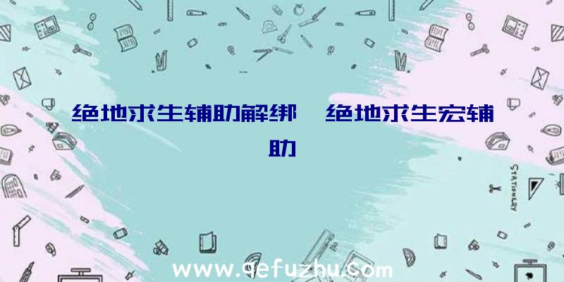 绝地求生辅助解绑、绝地求生宏辅助