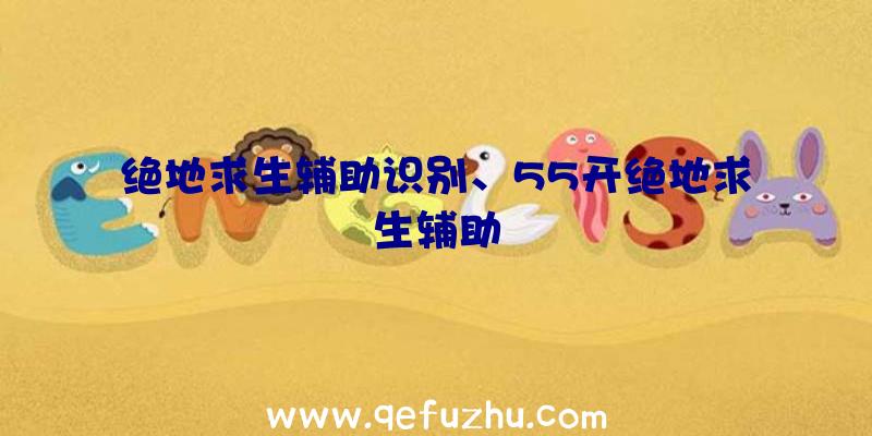 绝地求生辅助识别、55开绝地求生辅助